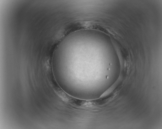 X0000067870611200604131238