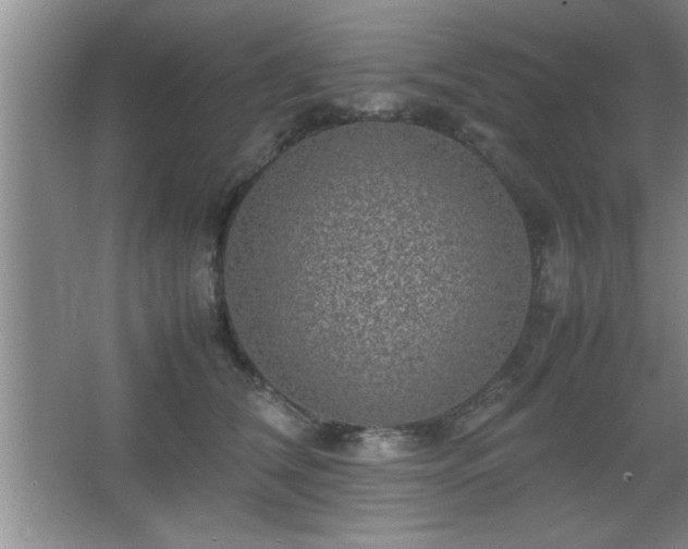 X0000067870612200604131238