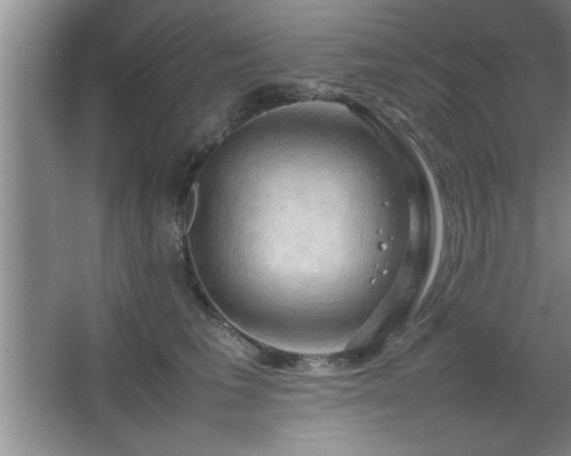 X0000067870613200604131238