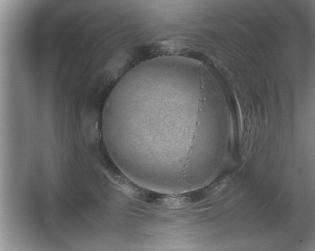 X0000067870615200604131238