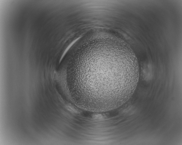 X0000067870616200604131238