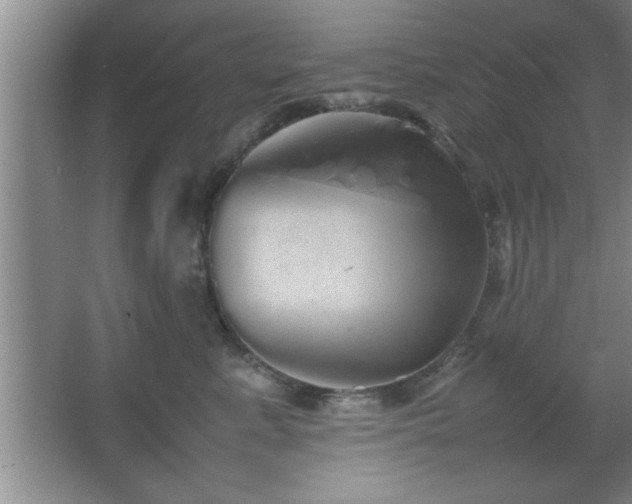 X0000067870619200604131238