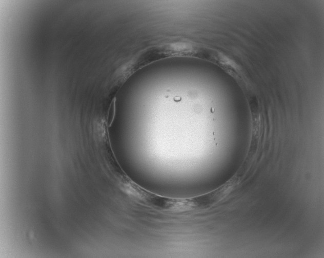 X0000067870621200604131238