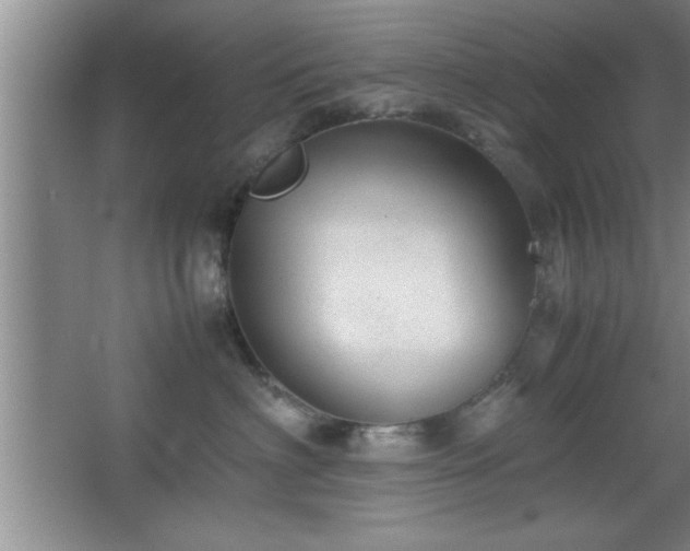 X0000067870622200604131238