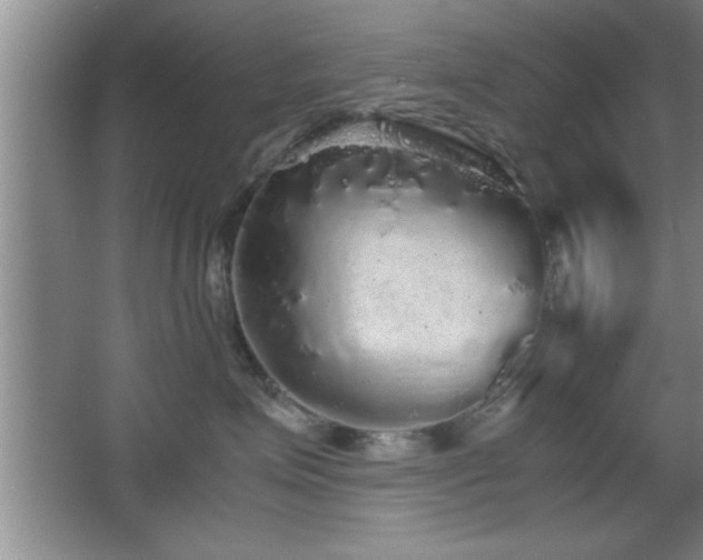 X0000067870623200604131238