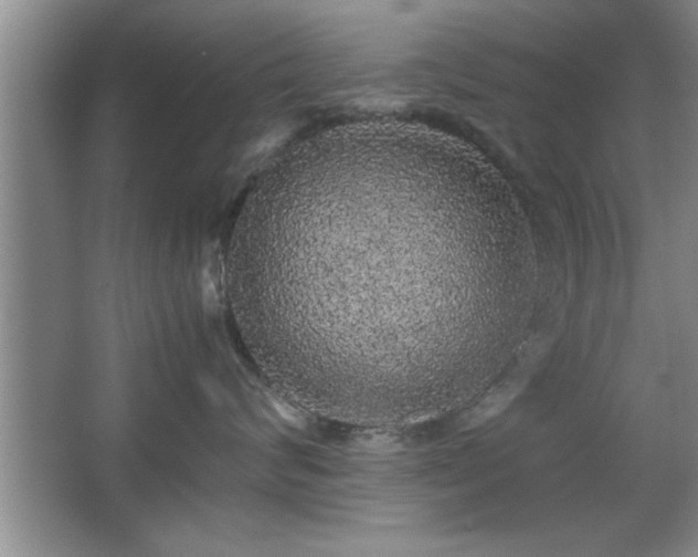 X0000067870624200604131238