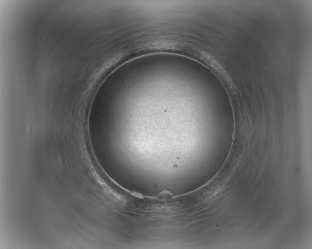 X0000067870625200604131237