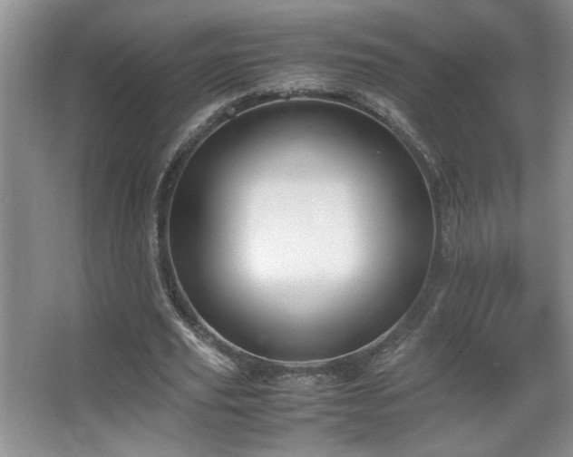 X0000067870629200604131237