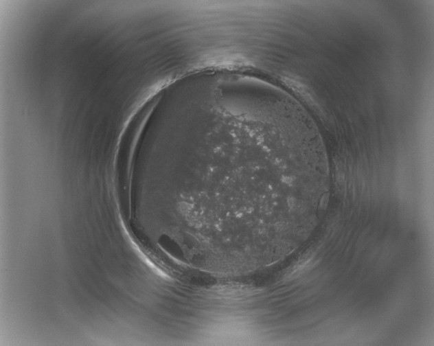 X0000067870630200604131237