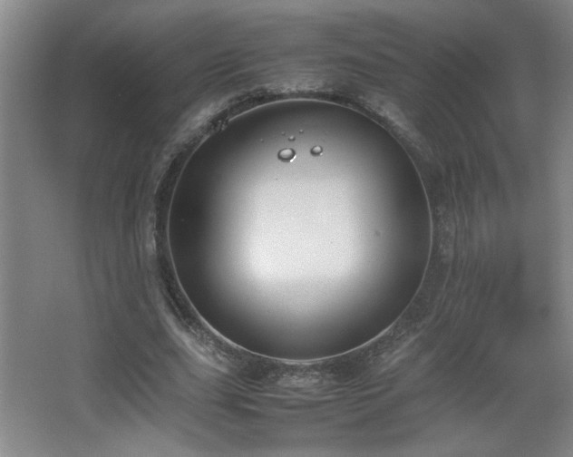 X0000067870631200604131237