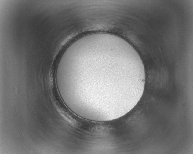 X0000067870632200604131237