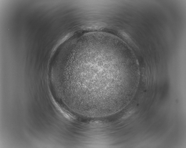 X0000067870634200604131237