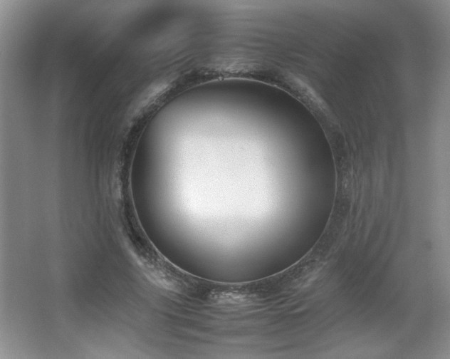 X0000067870635200604131237