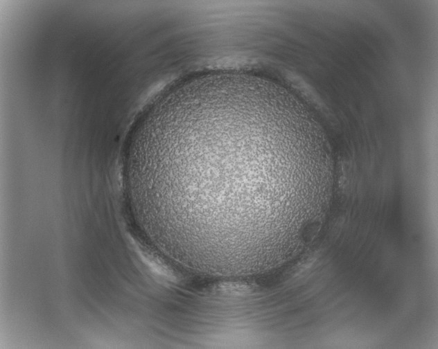 X0000067870636200604131237