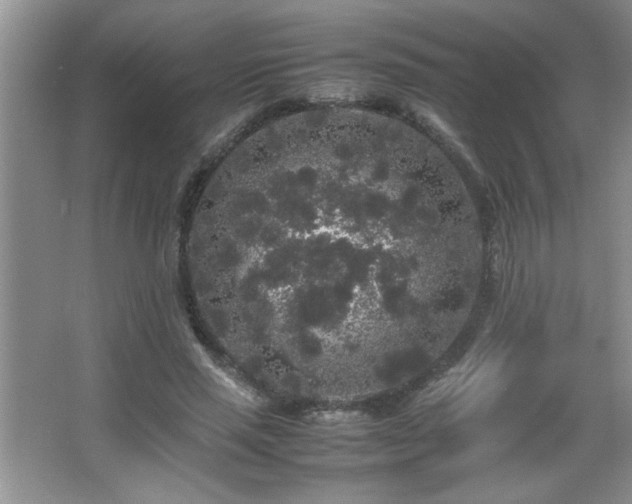 X0000067870637200604131237