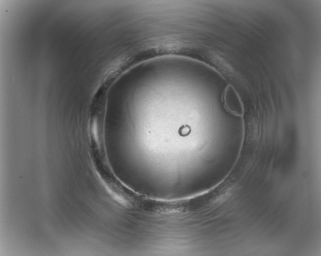 X0000067870638200604131237