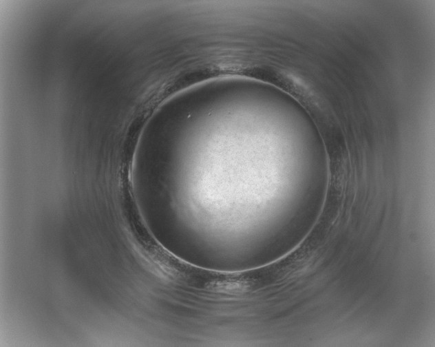 X0000067870639200604131237