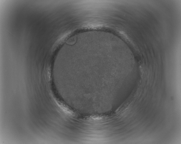 X0000067870640200604131237