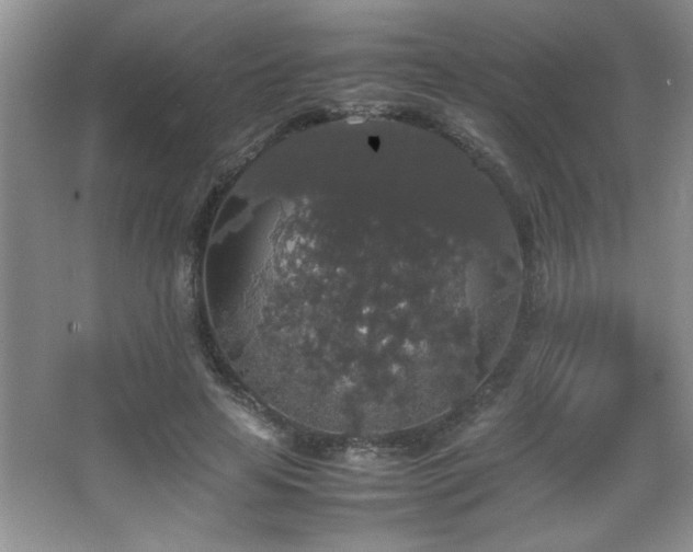 X0000067870641200604131237