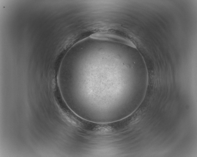 X0000067870642200604131237