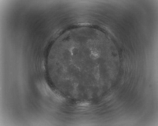 X0000067870643200604131237