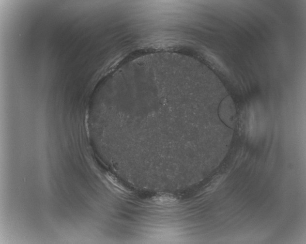 X0000067870644200604131237