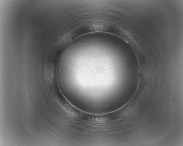 X0000067870645200604131237