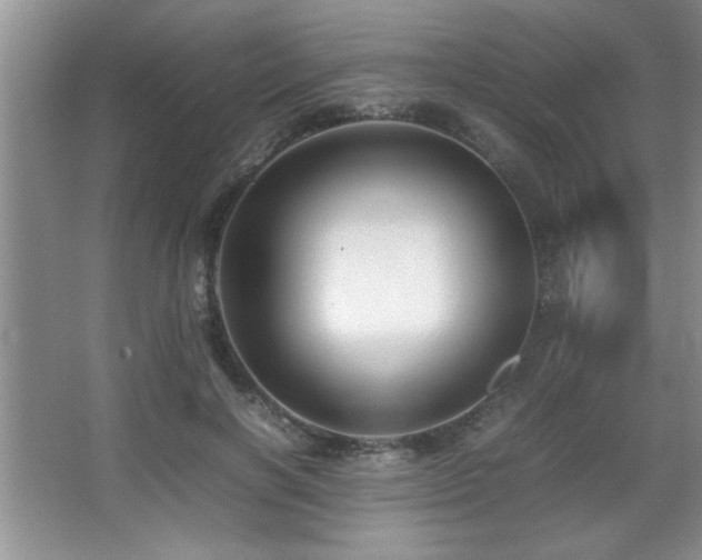 X0000067870646200604131237