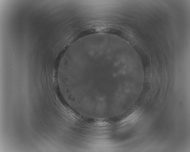 X0000067870650200604131237