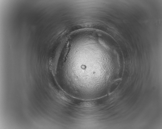 X0000067870652200604131237