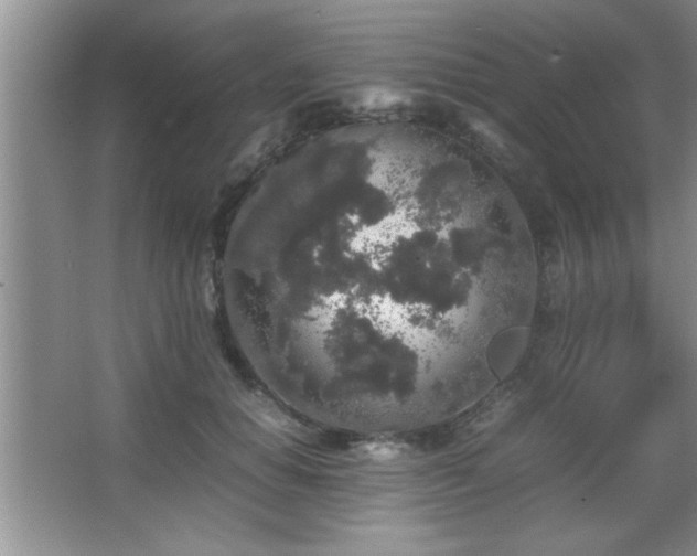 X0000067870654200604131237