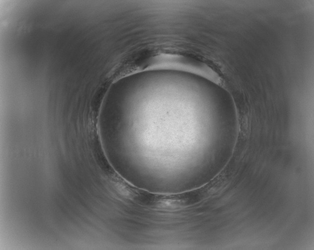 X0000067870657200604131237