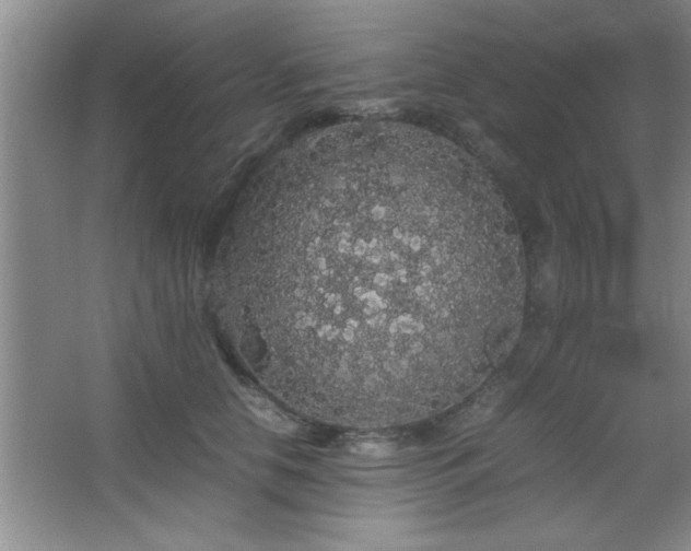 X0000067870658200604131237