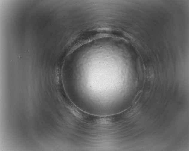 X0000067870664200604131238