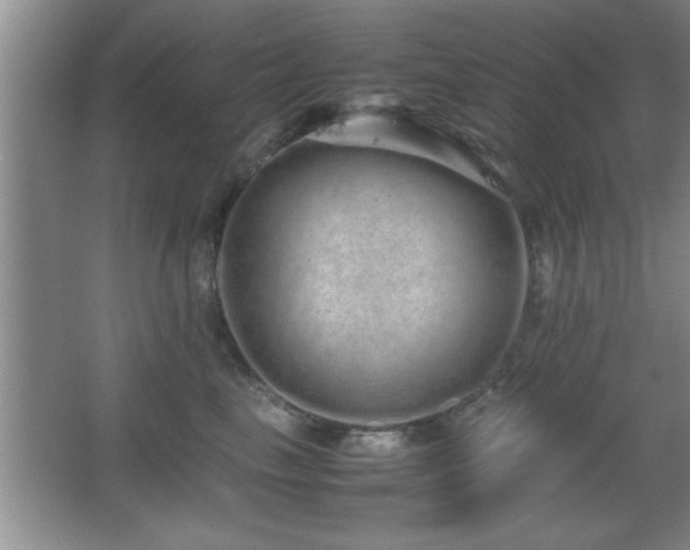 X0000067870665200604131238