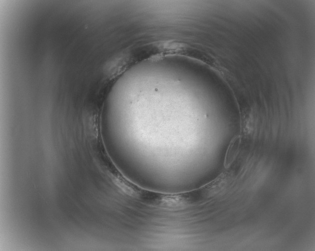 X0000067870666200604131238