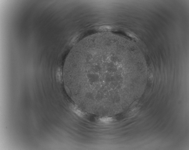 X0000067870669200604131238