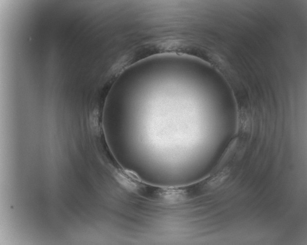 X0000067870670200604131238