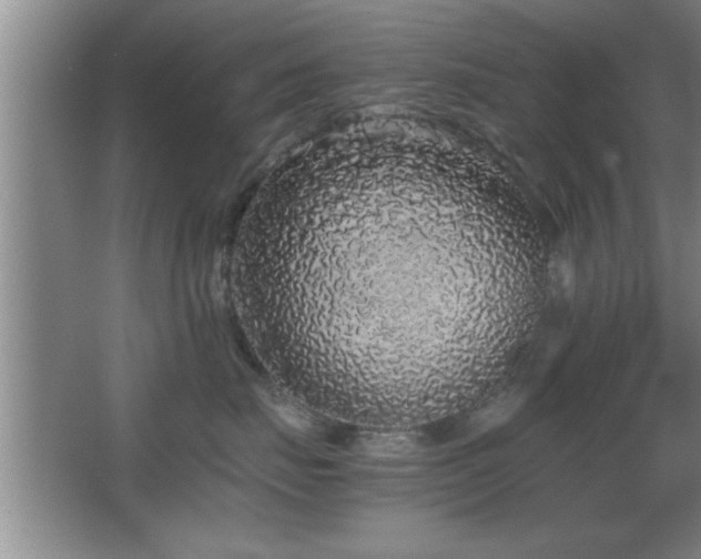 X0000067870671200604131238