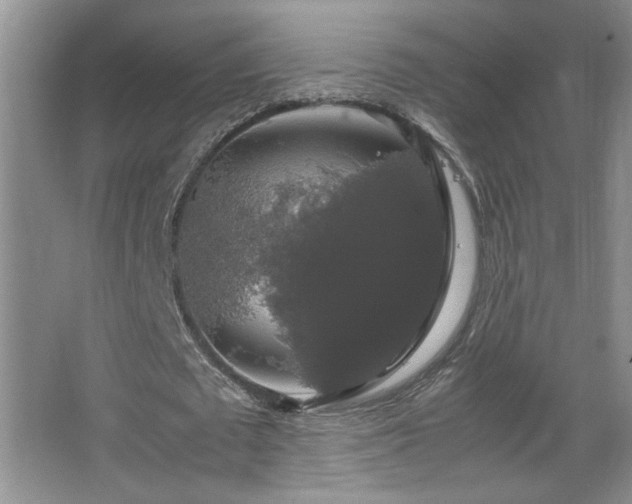 X0000067870673200604131237