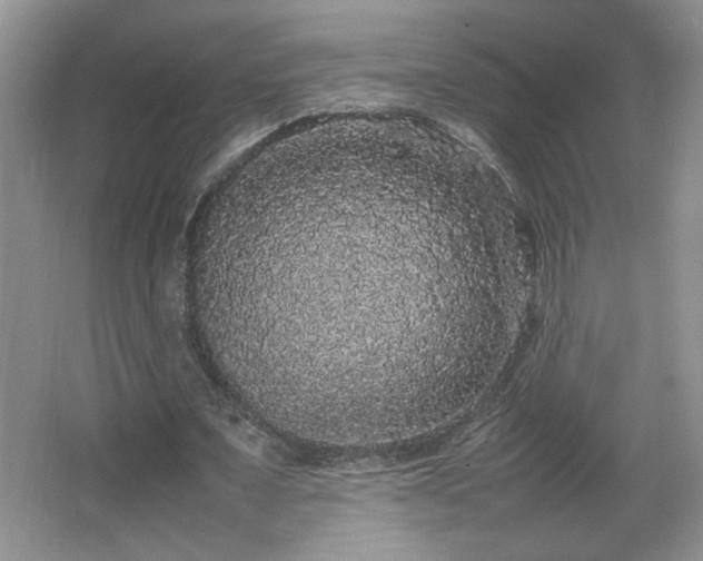 X0000067870675200604131237