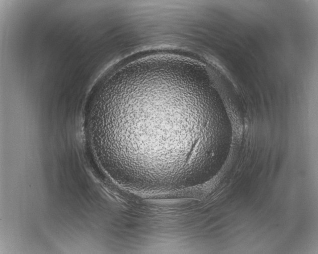 X0000067870676200604131237