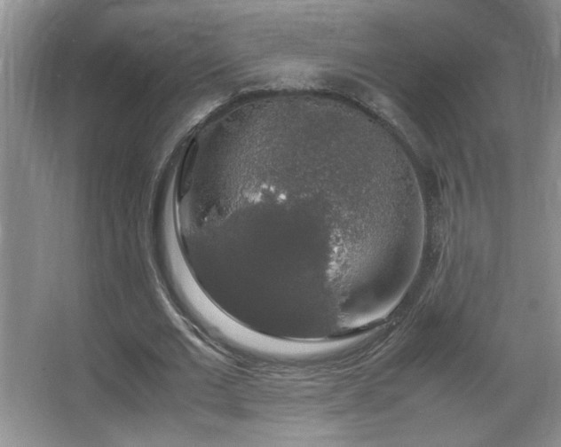 X0000067870677200604131237