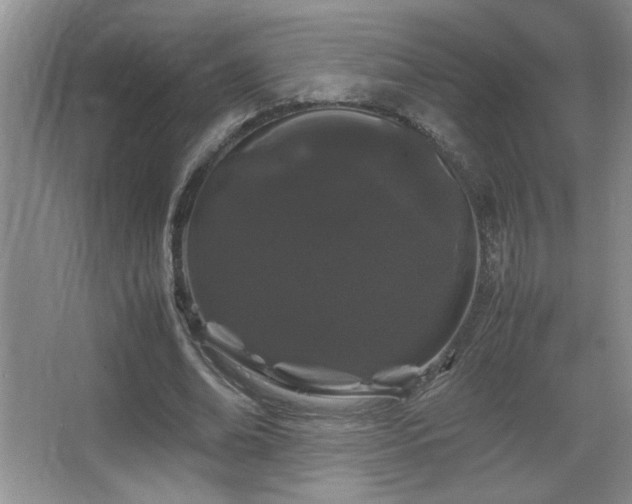 X0000067870678200604131237