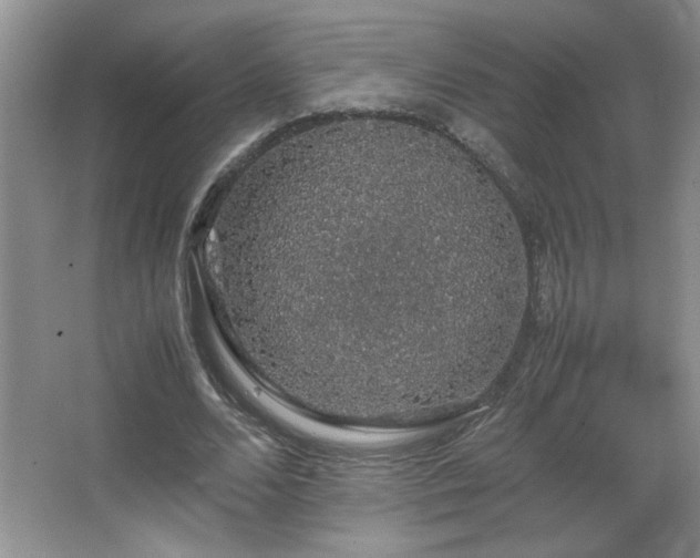 X0000067870680200604131237