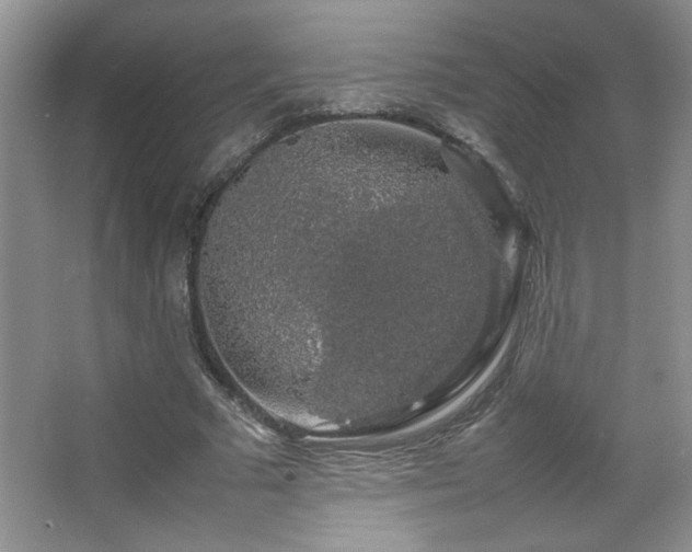 X0000067870681200604131237