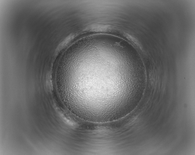 X0000067870682200604131237