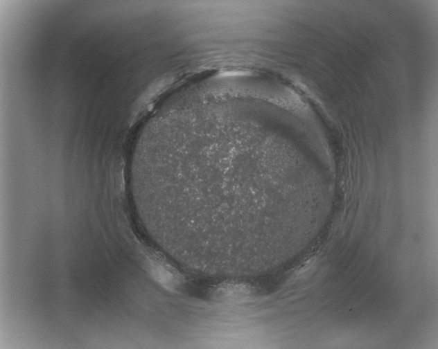 X0000067870685200604131237