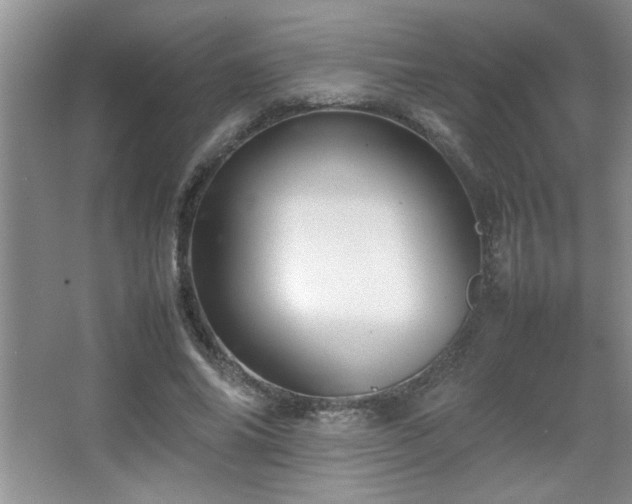 X0000067870686200604131237