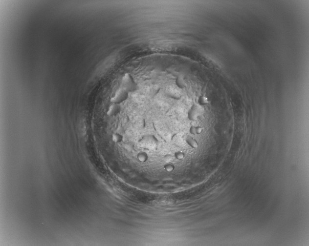 X0000067870687200604131237